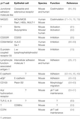 Coreceptors and Their Ligands in Epithelial γδ T Cell Biology